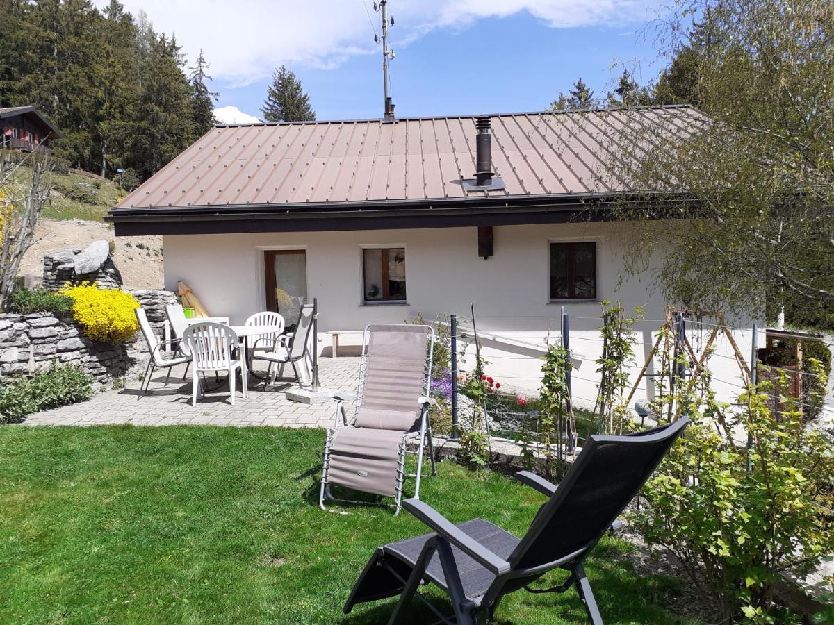 Les Loulou Apartment Saviese Exterior photo